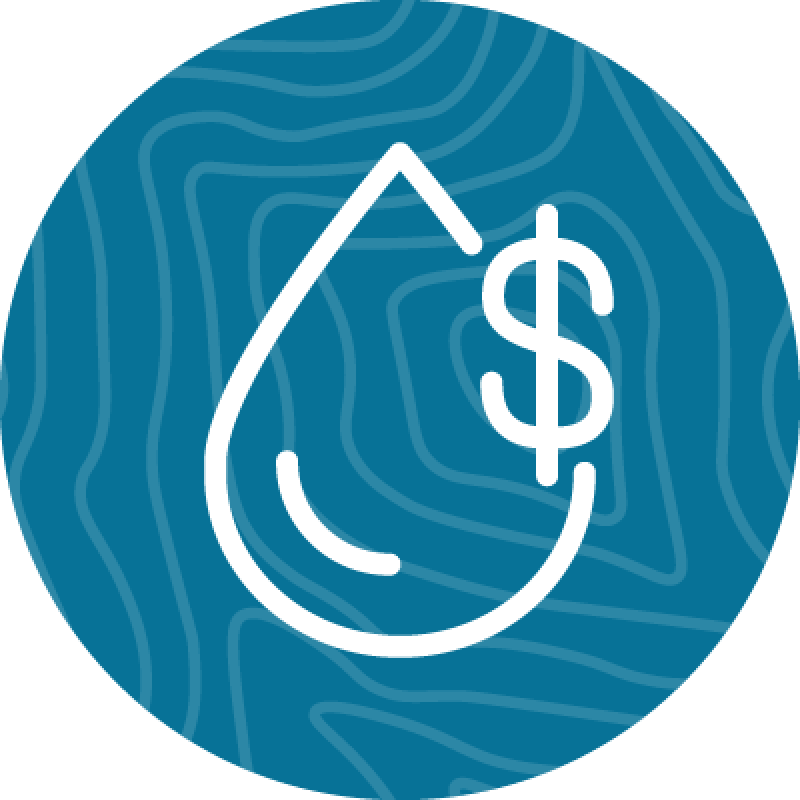 Decorative a droplet with a money sign