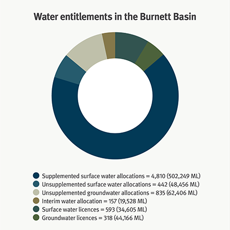 Number and volume of different types of water entitlements in the Burnett Basin water plan area 